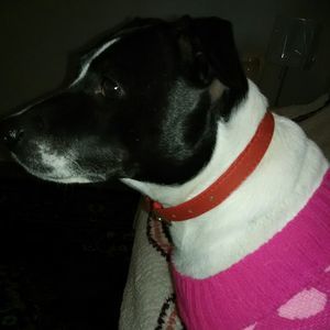 Meet your Posher, Robin